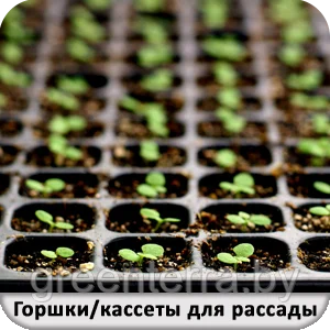 Горшки для рассады